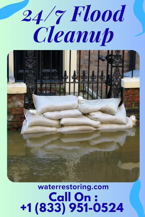 24/7 Flood Cleanup in Wardell, MO