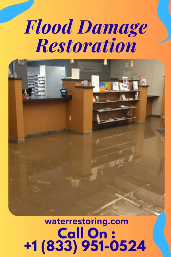 Flood Damage Restoration in Wardell, MO